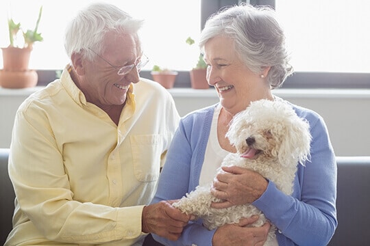 Senior couple smiling at each other and holding white dog